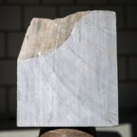 Bildhauerstein (Kalkstein Pierre des Lens)