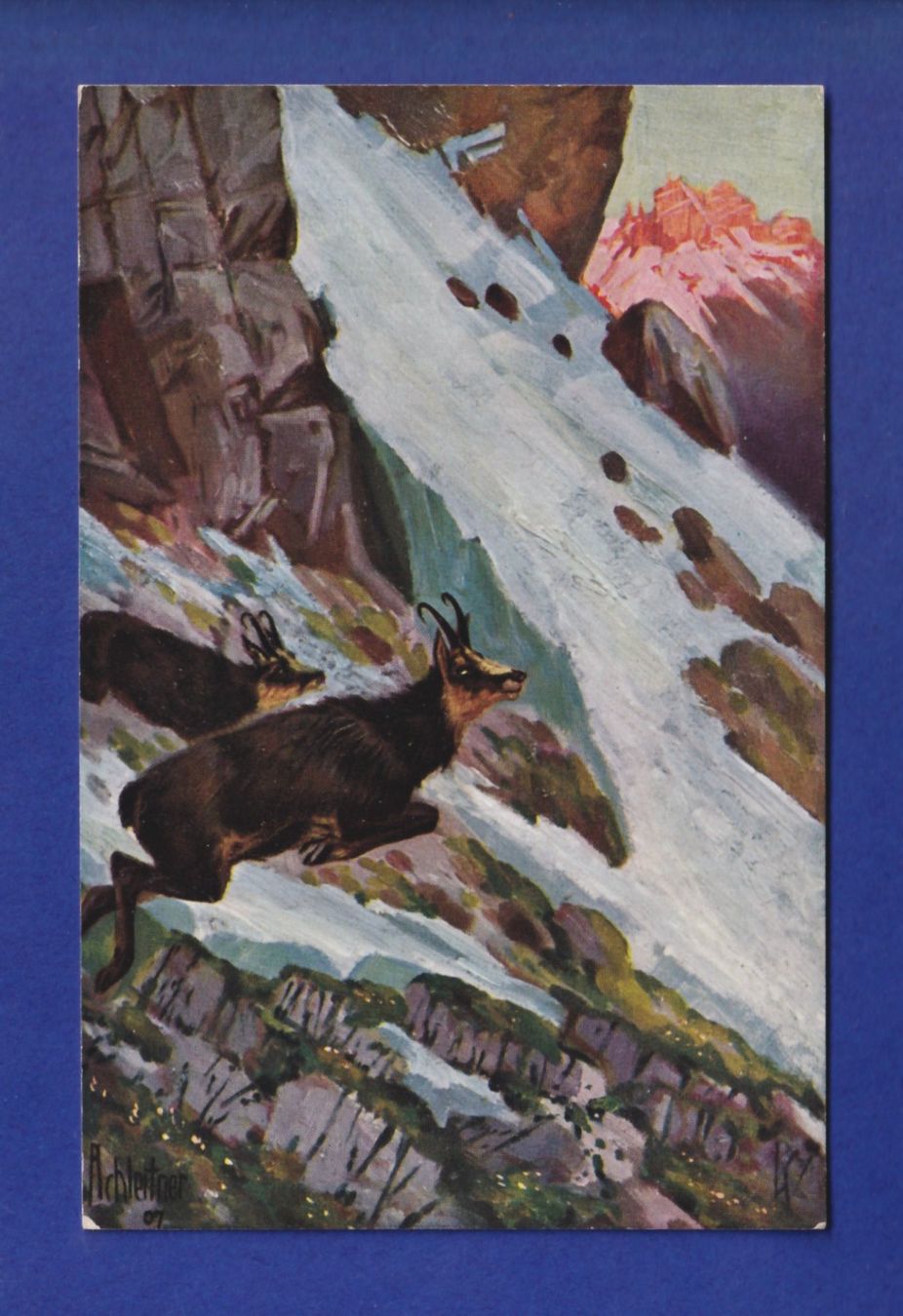 Cartoline postali: CHAMOIS – Usato da Pully venduto da nicecards-shop