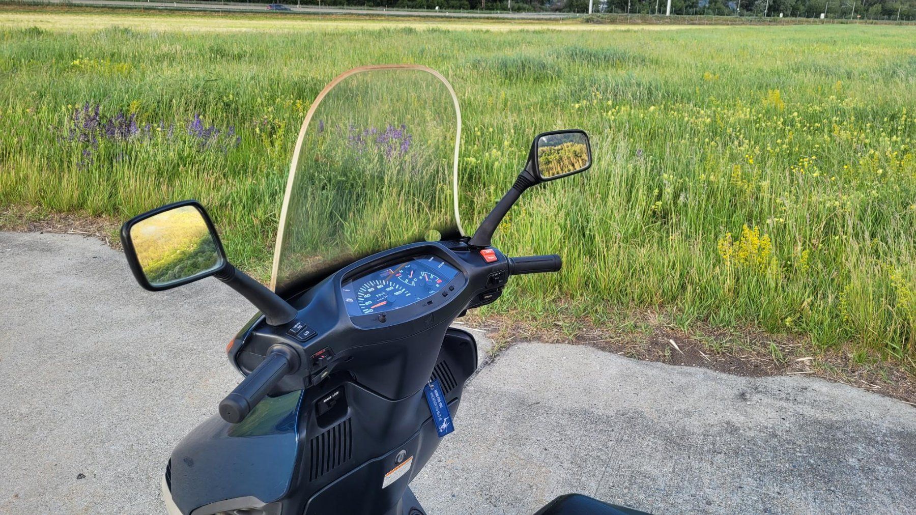 Honda Scooter: Honda CH250 Freeway – Usato da Steg VS venduto da Airamerika 4