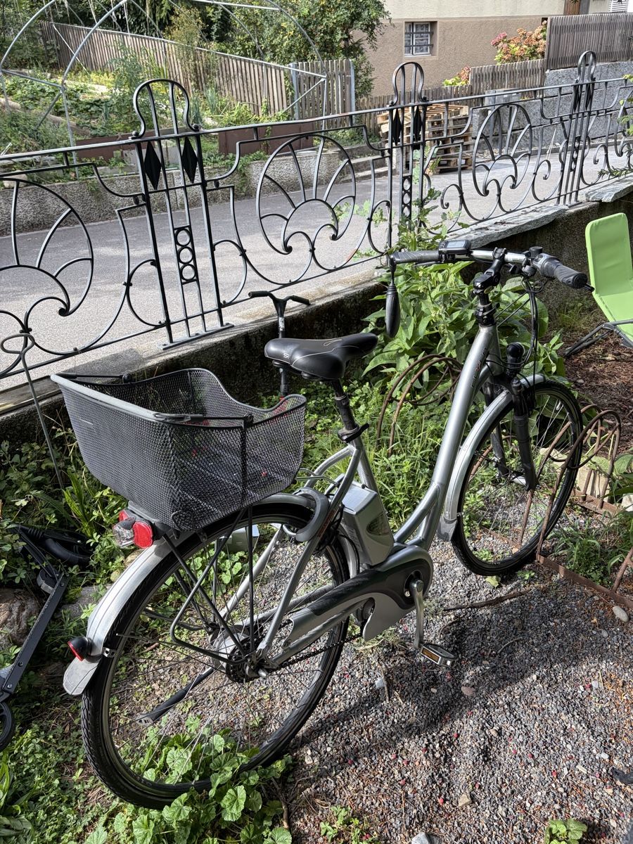 Flyer Velos: Flyer E-Bike grau – Defekt aus Horgen von sas_gd8m