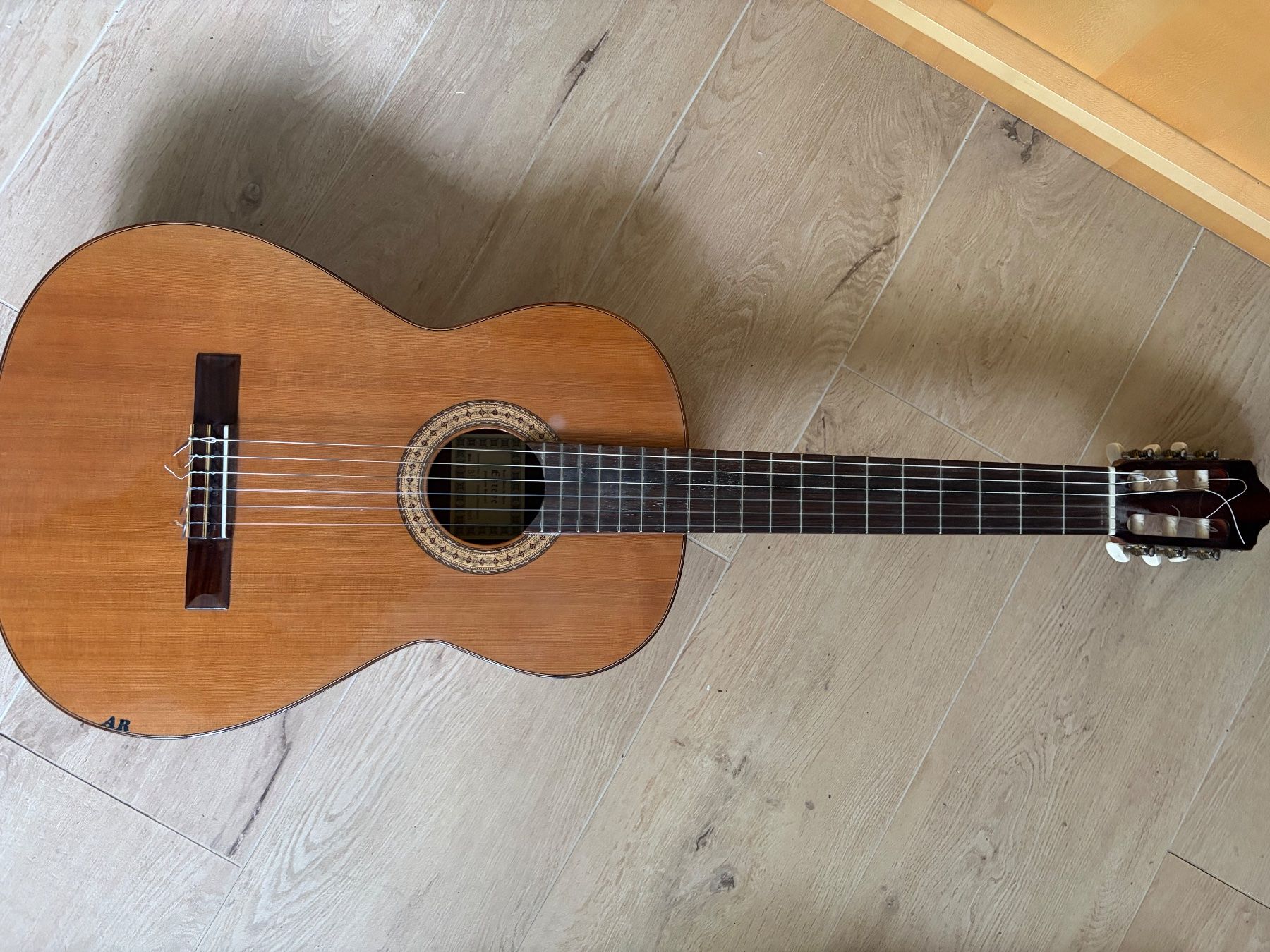 Washburn Strumenti musicali: Diverses guitares – Usato da Martigny venduto da Thy1 6