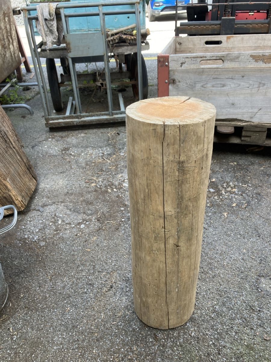 Holzartikel: Holzstamm – Gebraucht aus Burg AG von ala_cx8x 1