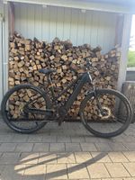 FISCHER Terra 8.0 Viator "All Road"