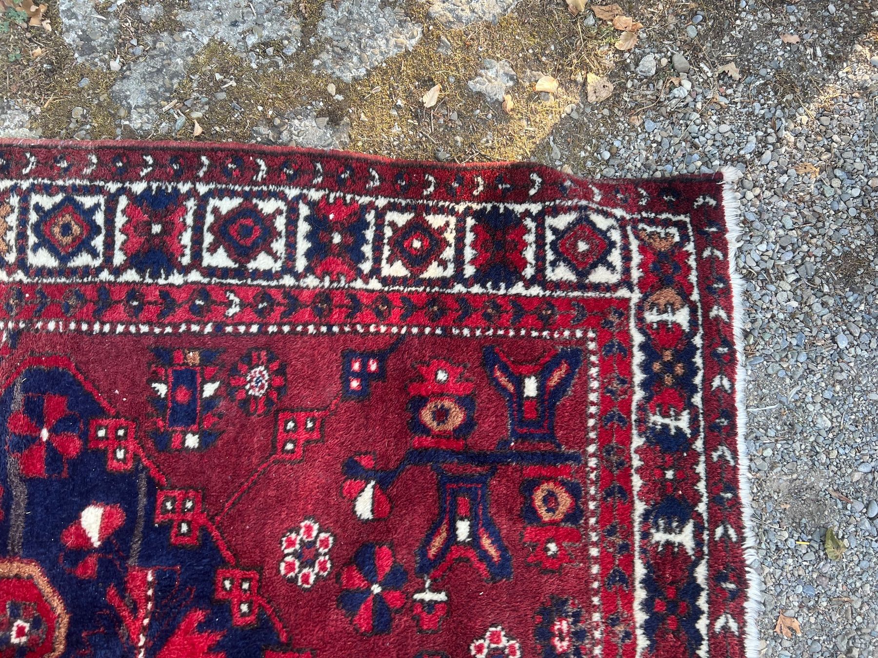 Tappeti: Alte Teppich, Nr 2 – Usato da Glattfelden venduto da maa_qcj8 3