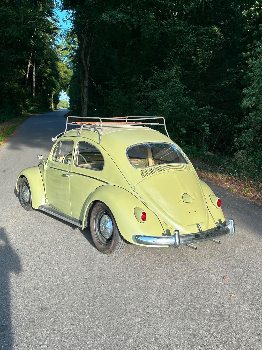 VW Automobili: VW Käfer Rat Look ab MFK ab 16999.00 – Usato da Liebistorf venduto da motocentergmbh 2