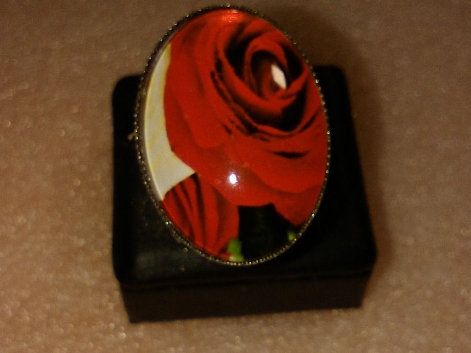Ringe: RING EDELSTHAL ,,GLANZIG,,SILBER FARBE – Neu (gemäss Beschreibung) aus Basel von bijoutrie_4 1
