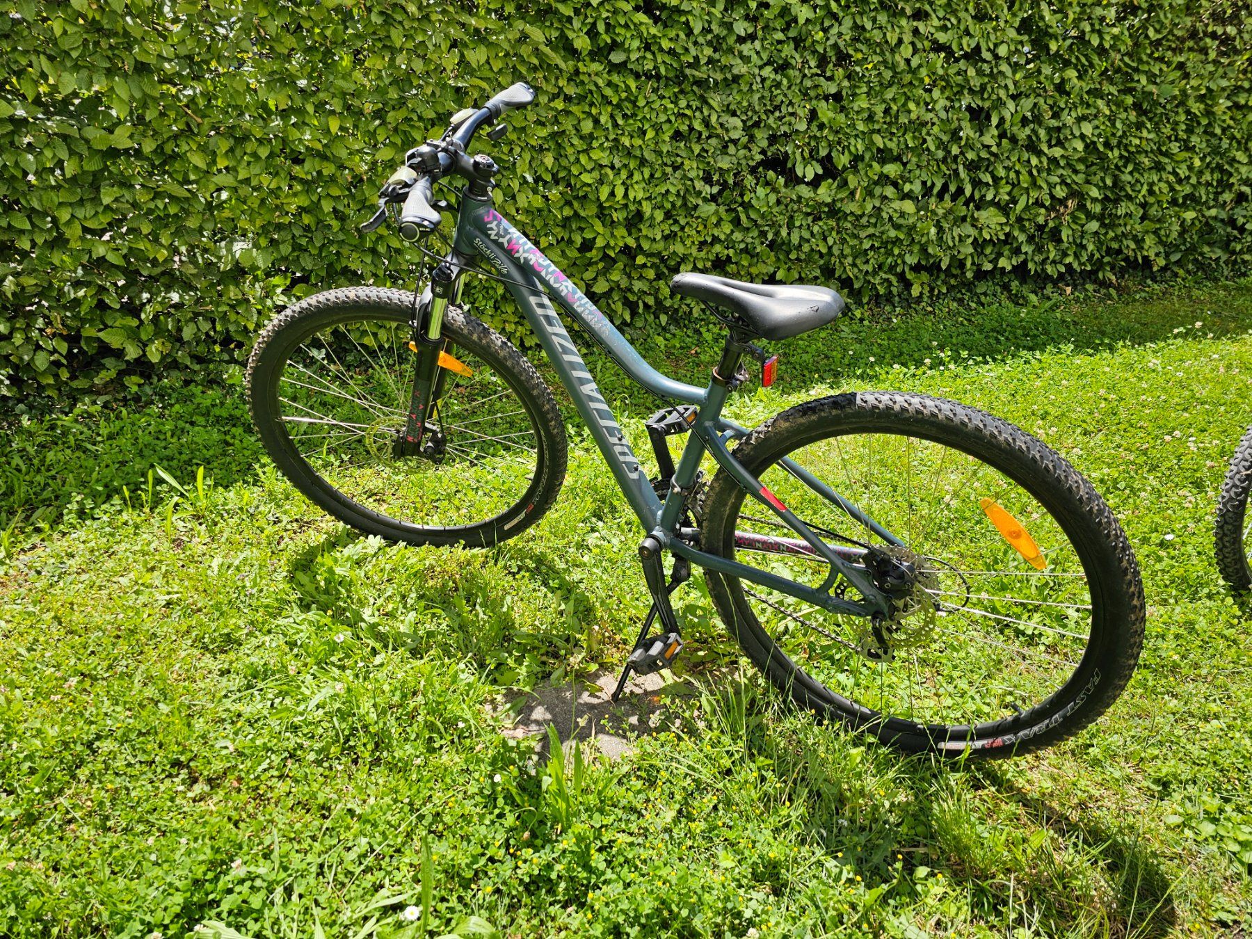 Specialized Biciclette: Specialized velo mountain bike – Usato da Riehen venduto da  3