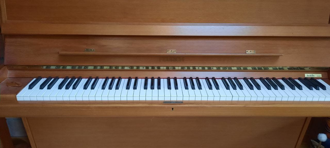 Feurich Strumenti musicali: Klavier Feurich – Usato da Männedorf venduto da danielho 1