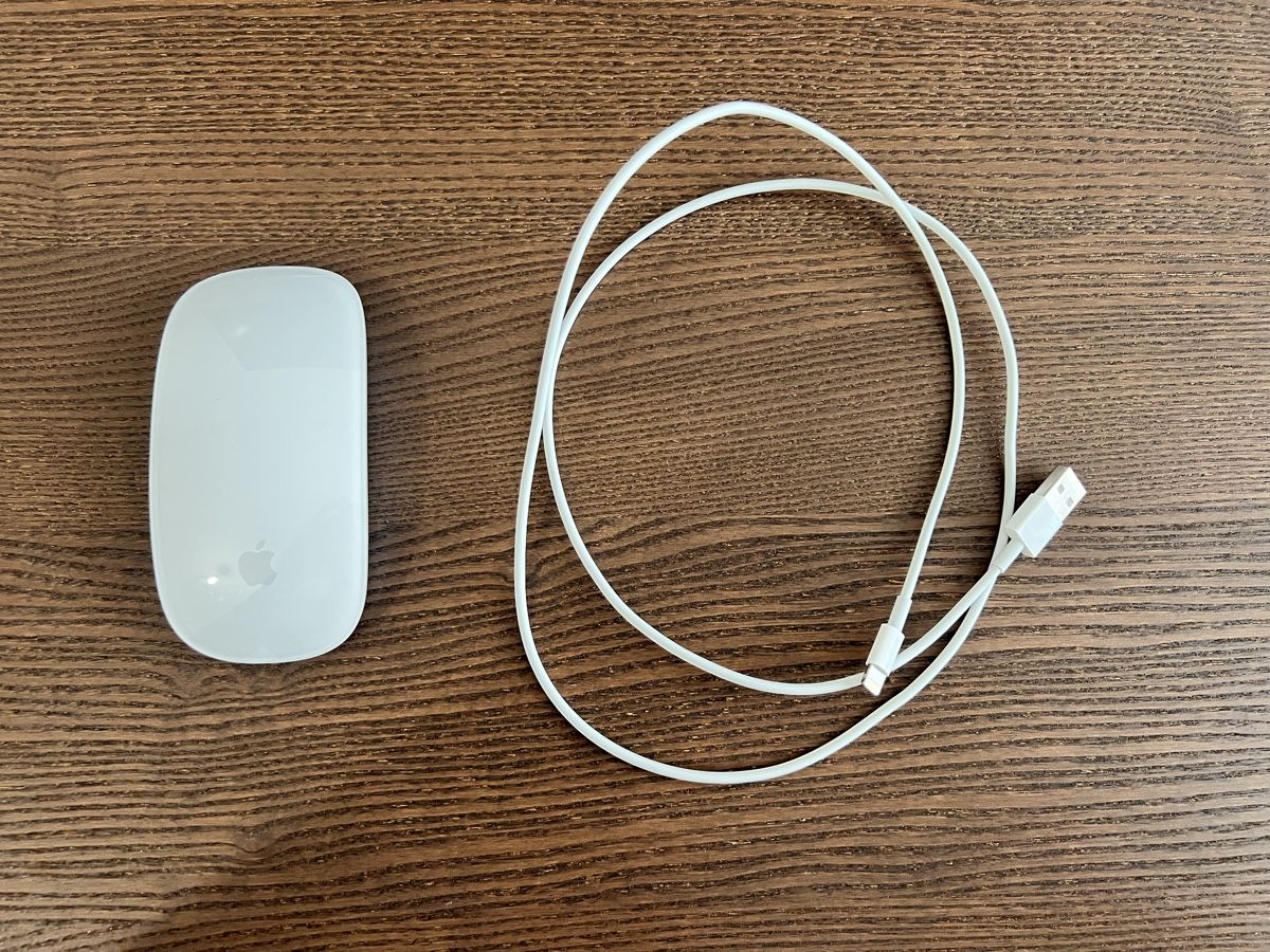 Apple Mouse: Apple Magic Mouse – Usato da Sempach Station venduto da Lembo92 1