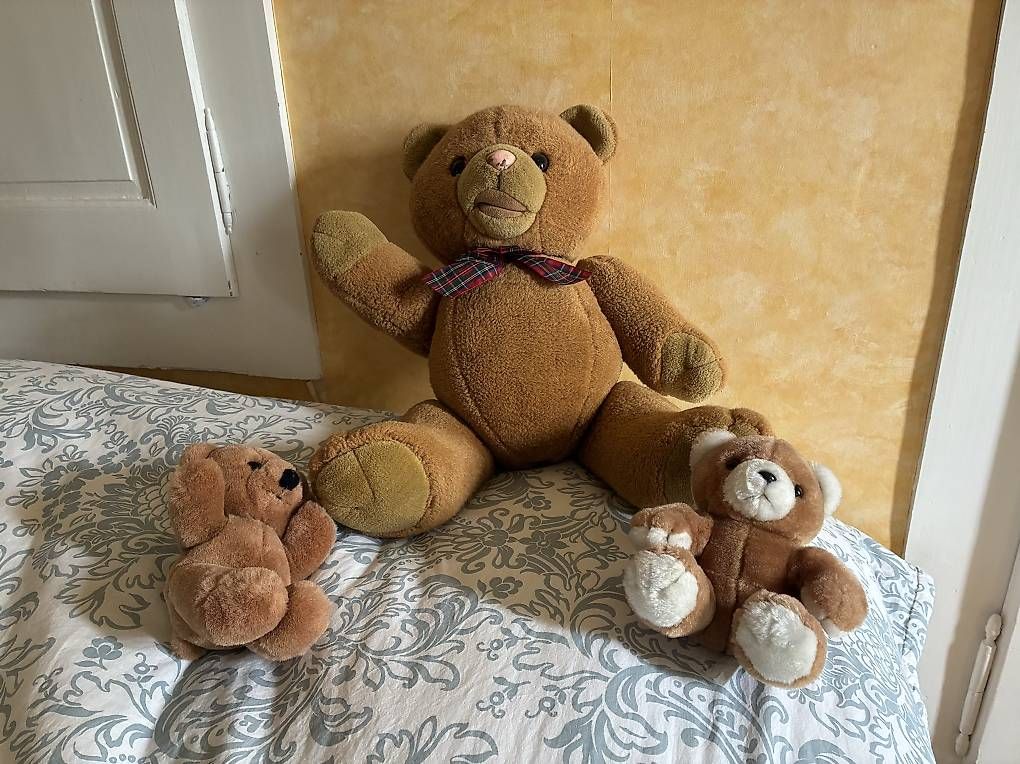 Giocattoli: Ours en peluche – Usato da Préverenges venduto da Alexmar 1