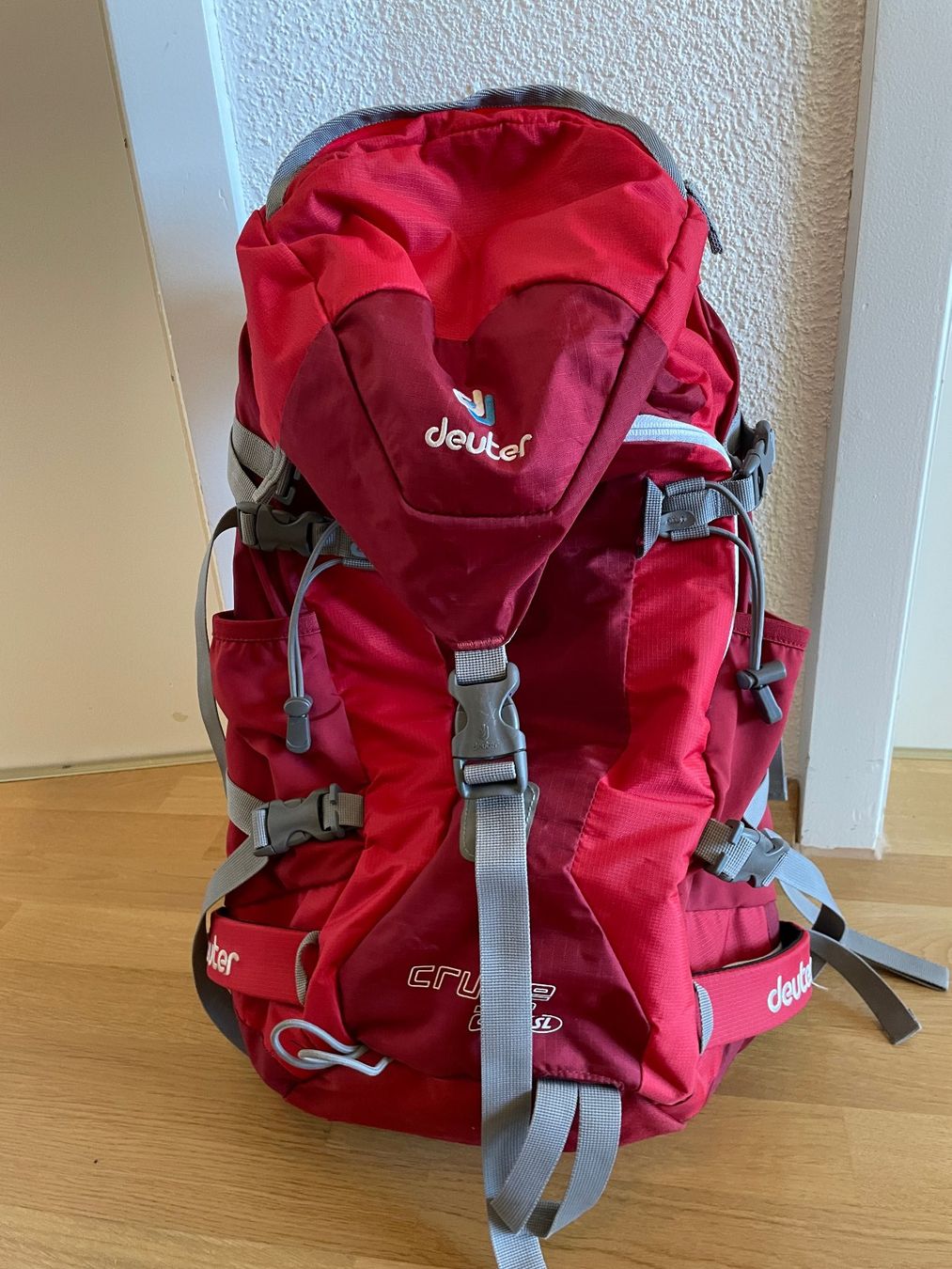 Deuter Zaini: Rucksack Deuter Cruise 28 SL – Usato da Bern venduto da ebl_tqk2