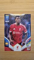 Panini FIFA 365 Ryan Gravenberch