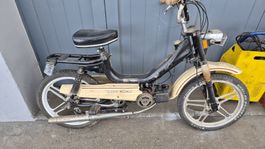 Moor Rodeo Sachs Gipsy
