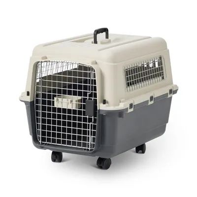 Gabbie, trasporto & Sicurezza: Transportbox für Hunde – Usato da Wolfwil venduto da aWEr4k