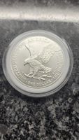 American Silver Eagle 1 oz - pièce en argent d'une once