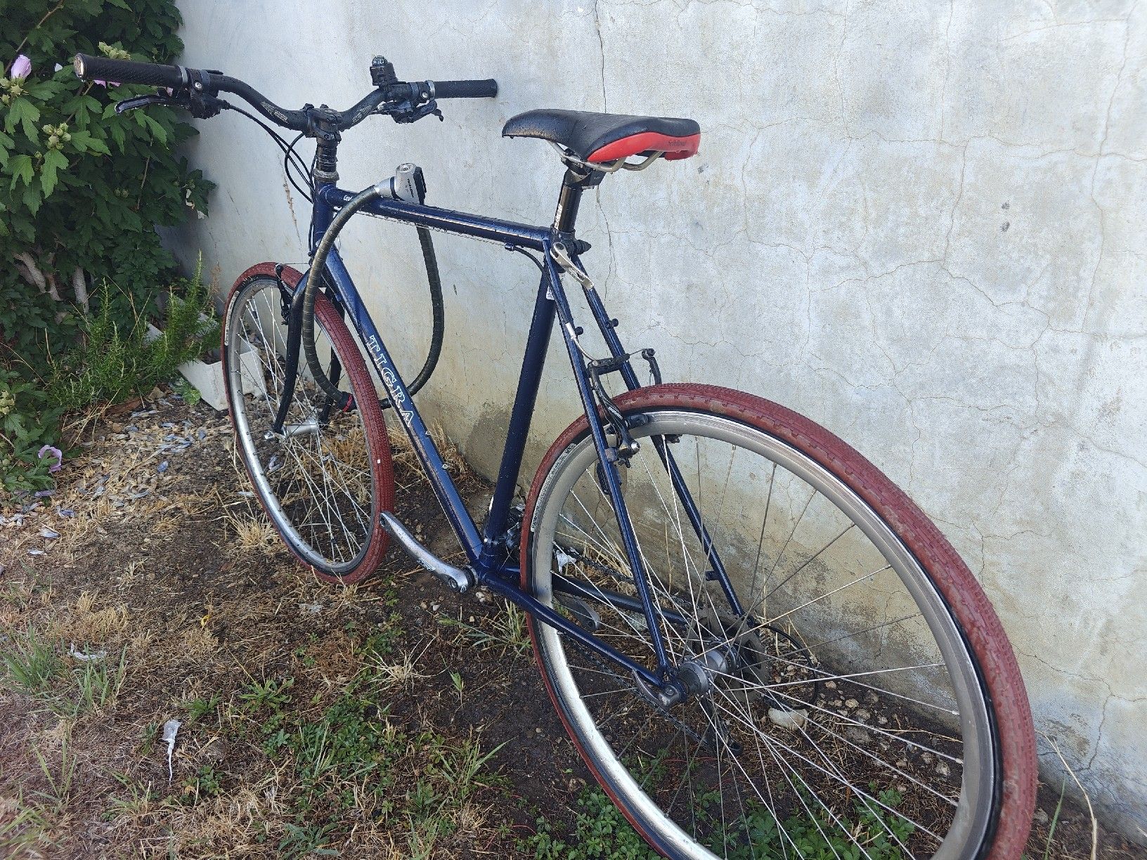 Velos: Vélo Tigra bleu – Gebraucht aus La Sarraz von 1712dan 1