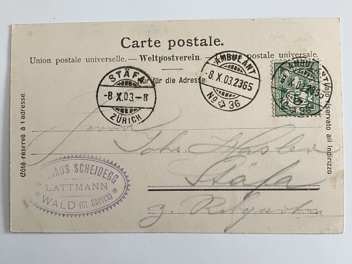 Cartoline postali: Alte Ansichtskarte Gruss von Alp Scheidegg, datiert 1903 – Usato da Bauma venduto da Baumer71 1