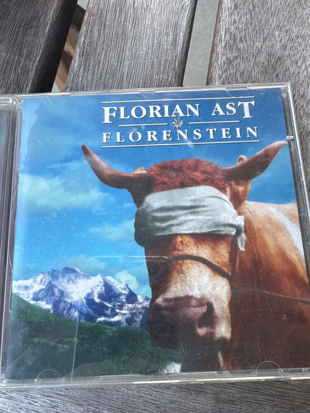 CD: Florian Ast - Flörenstein CD - Schweizer Mundart Rock Pop – Usato da Schöfflisdorf venduto da sonjastarfish