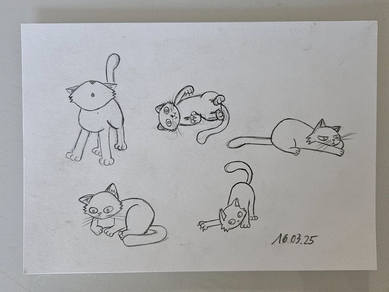 Poster & Bilder: Katzen Skizze – Gebraucht aus Basel von True_Hofer_Store