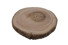 Esche Holz Rindenscheibe rund 24-27cm