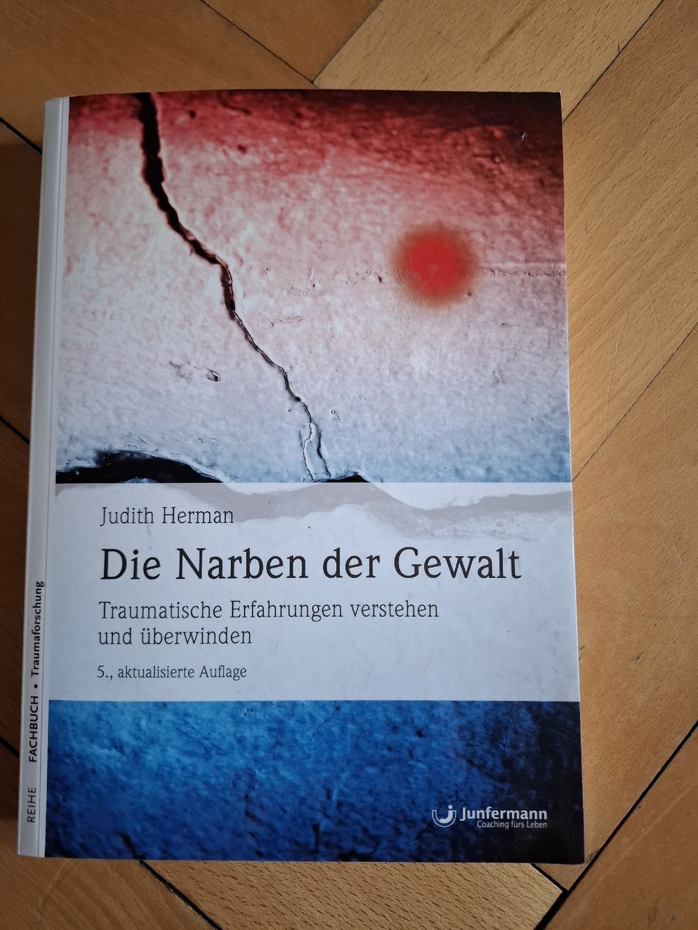 Libri: Buch: die Narben der Gewalt v. Judith Hermann – Nuovo e nell'imballaggio originale da Richterswil venduto da Friedafrech