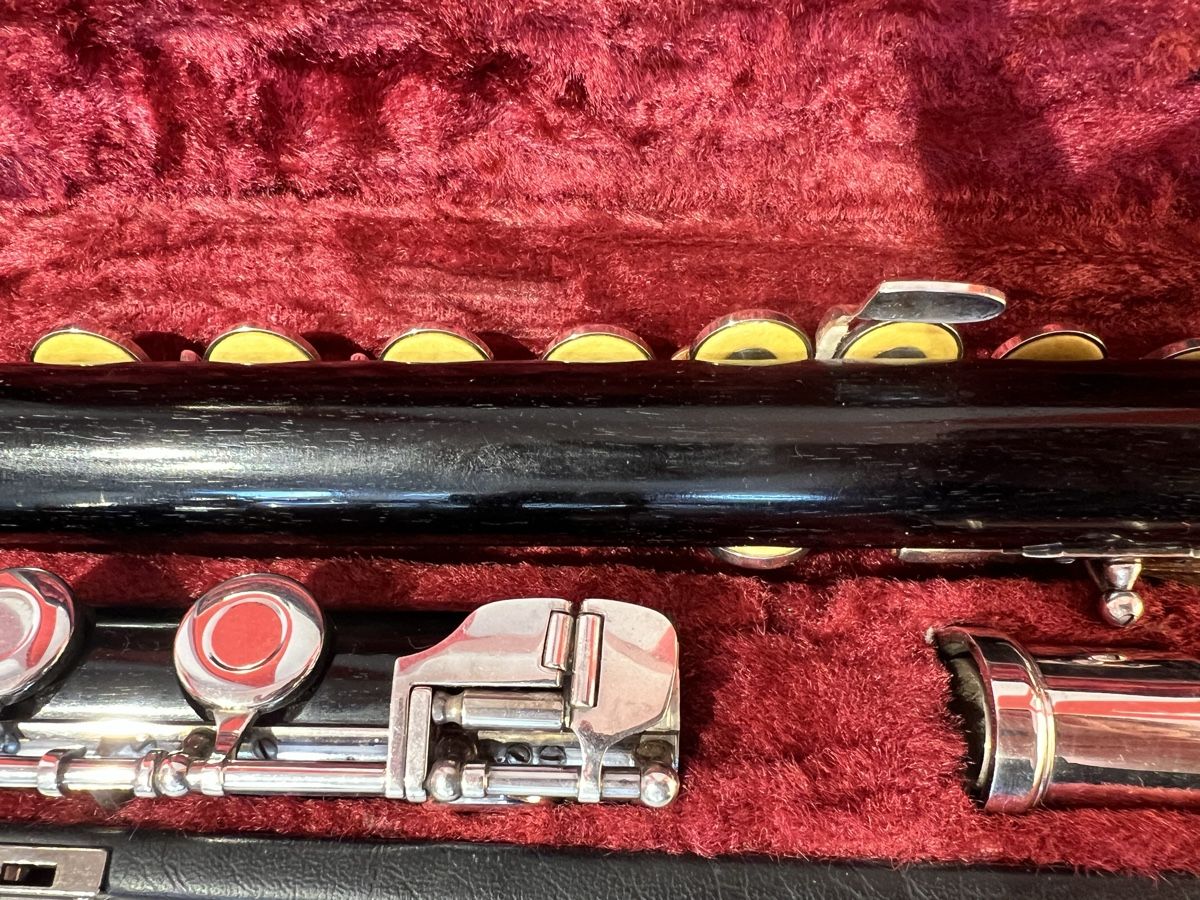 Strumenti musicali: Holz Querflöte  – Usato da Riggisberg venduto da mr.redhorn 1