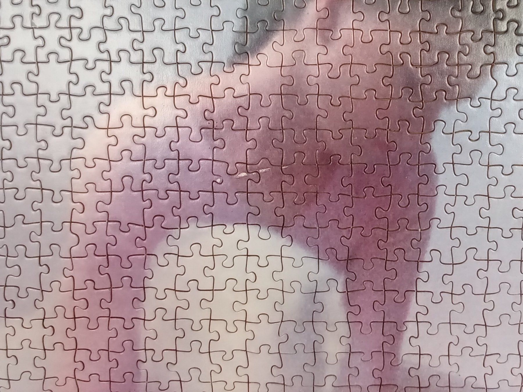 Foto & Immagini: Puzzlebild "Ballerina" gerahmt – Usato da Suhr venduto da Restwert_Suhr 1