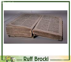 Antike Bibel von 1850