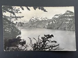Postkarte Urirotstock Nieder- und Oberbauen 1946  (R841)