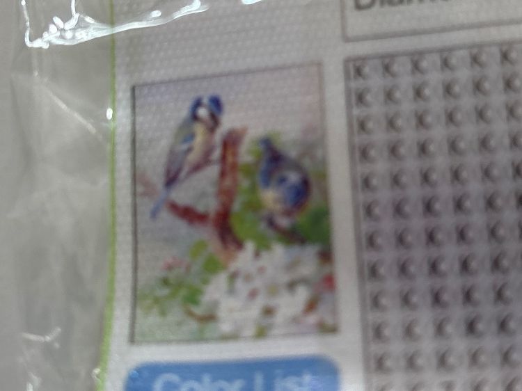 Kit bricolage: Diamond Paiting Vögeli 30x40 – Nuovo (secondo la descrizione) da Amriswil venduto da SCHLOSSGEISTLI