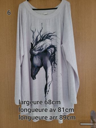 tunique 