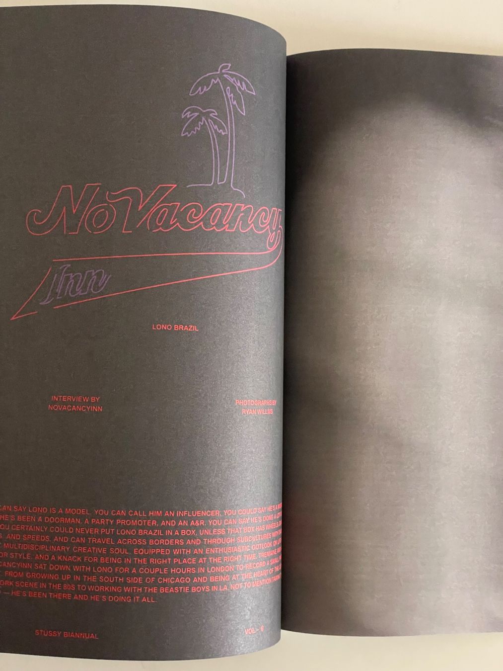 Riviste & Magazine: STUSSY BIANNUAL VOLUME 8 – Usato da Zurich venduto da a-z 4