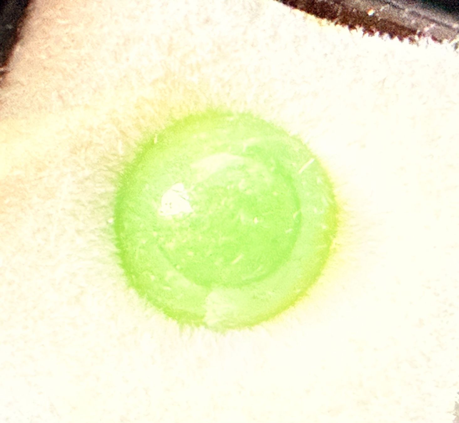 Pietre preziose: Prasopal Cabochon, echt, natürlich. 3,88ct – Usato da Zuerich venduto da SonderArt-Wertgut 4