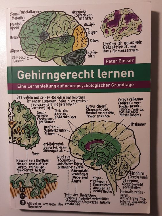 Gehirngerecht lernen - Eine Lernanleitung | Kaufen auf Ricardo