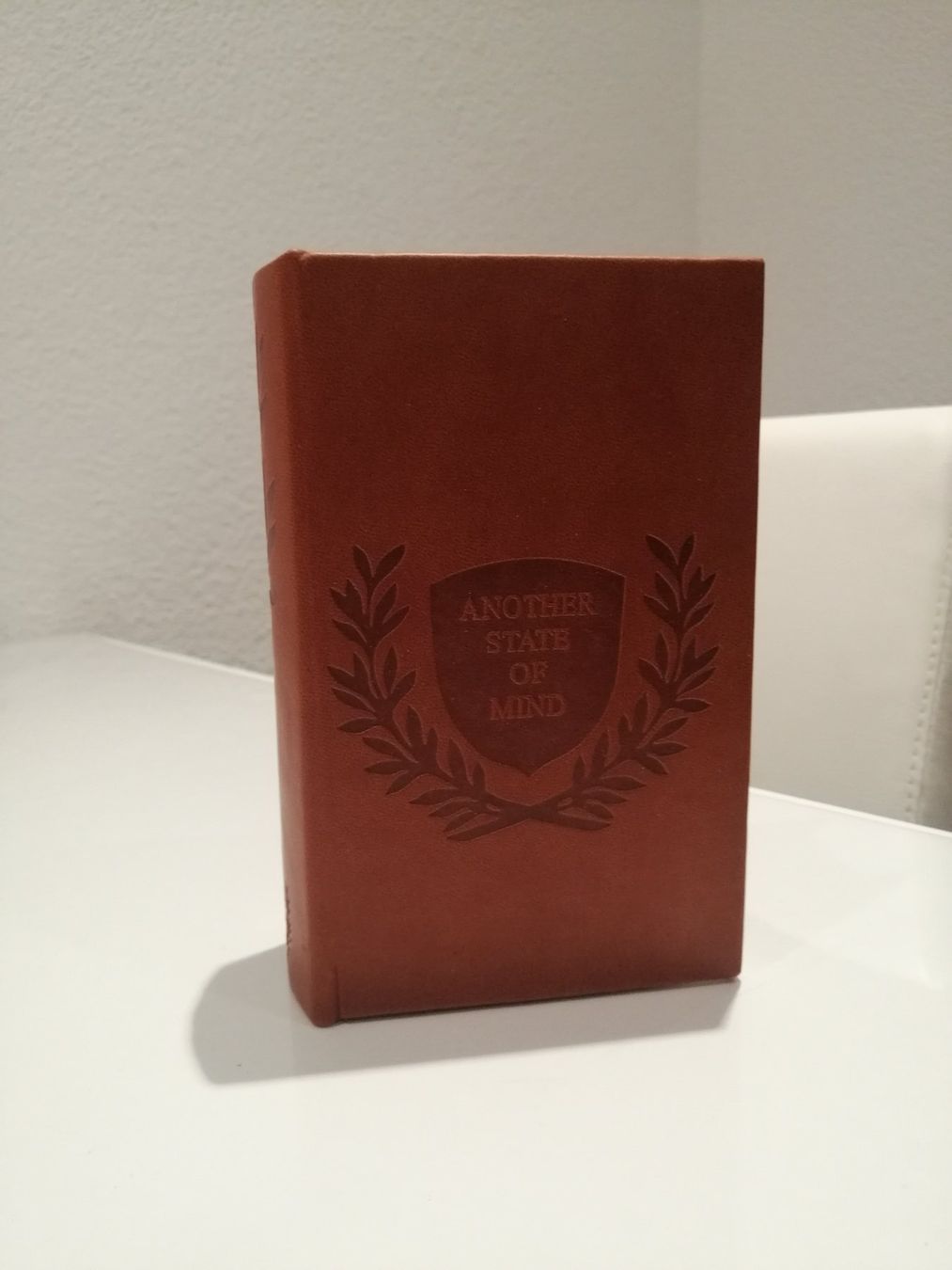 Cassapanche: Buch Schatule – Nuovo (secondo la descrizione) da Biel/Bienne venduto da M.D.C 1