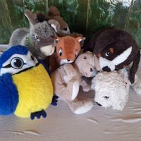 Suesse Kuscheltiere-Sammlung fuer Kinder, Top Zustand!
