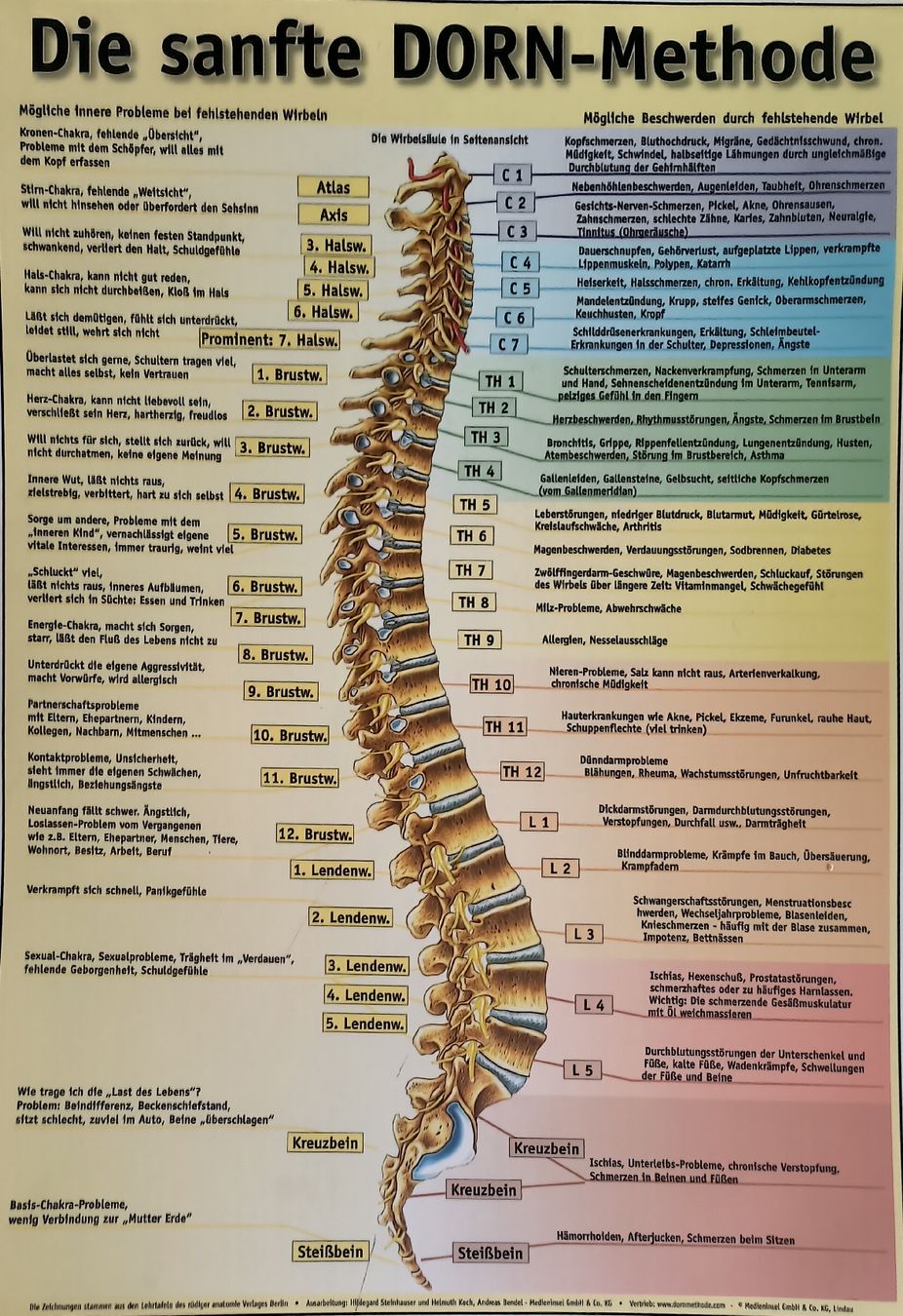 Foto & Immagini: Dorn-Methode Poster, Wirbelsäule - Anatomie. – Usato da Hägendorf venduto da RajeshKoothrappali 1