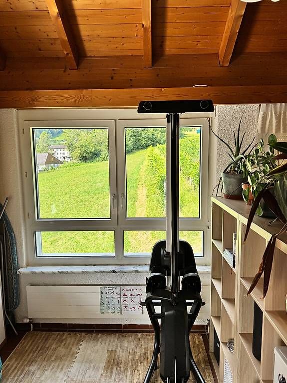 Hometrainer: Matrix Rudergerät – Gebraucht aus Berneck von kev_c87p