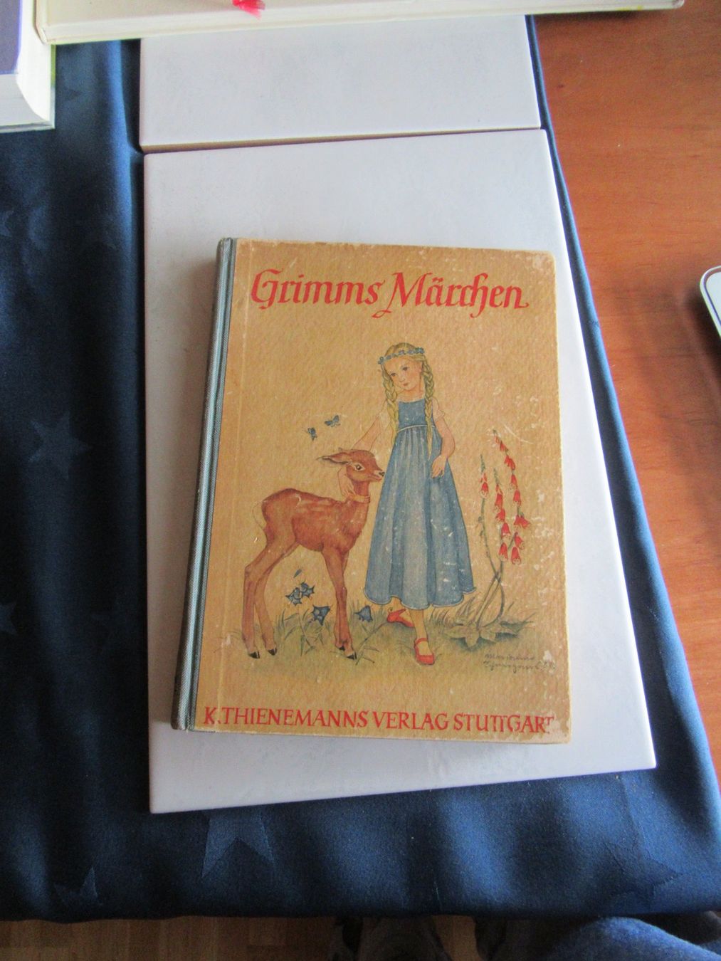 Libri: Brüder Grimms Kindermärchen, altes Buch – Usato da Wattwil venduto da wampi