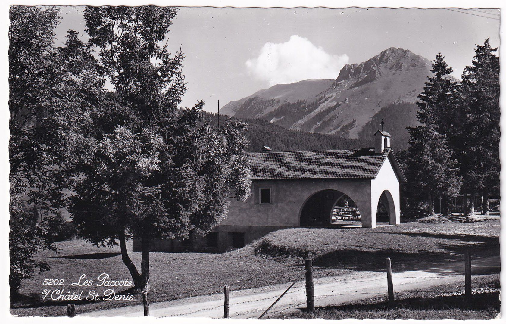 Ansichtskarten: Les Paccots s/Châtel St. Denis 1956 – Gebraucht aus Cormoret von Pascalll2001