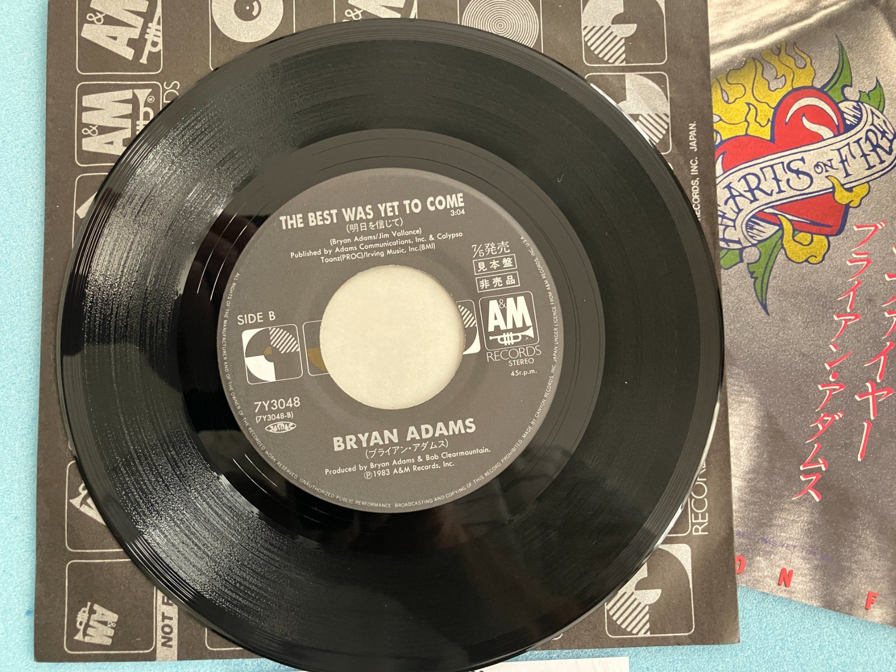 Dischi in vinile: Bryan Adams – Usato da Aarwangen venduto da Jukebox3 6