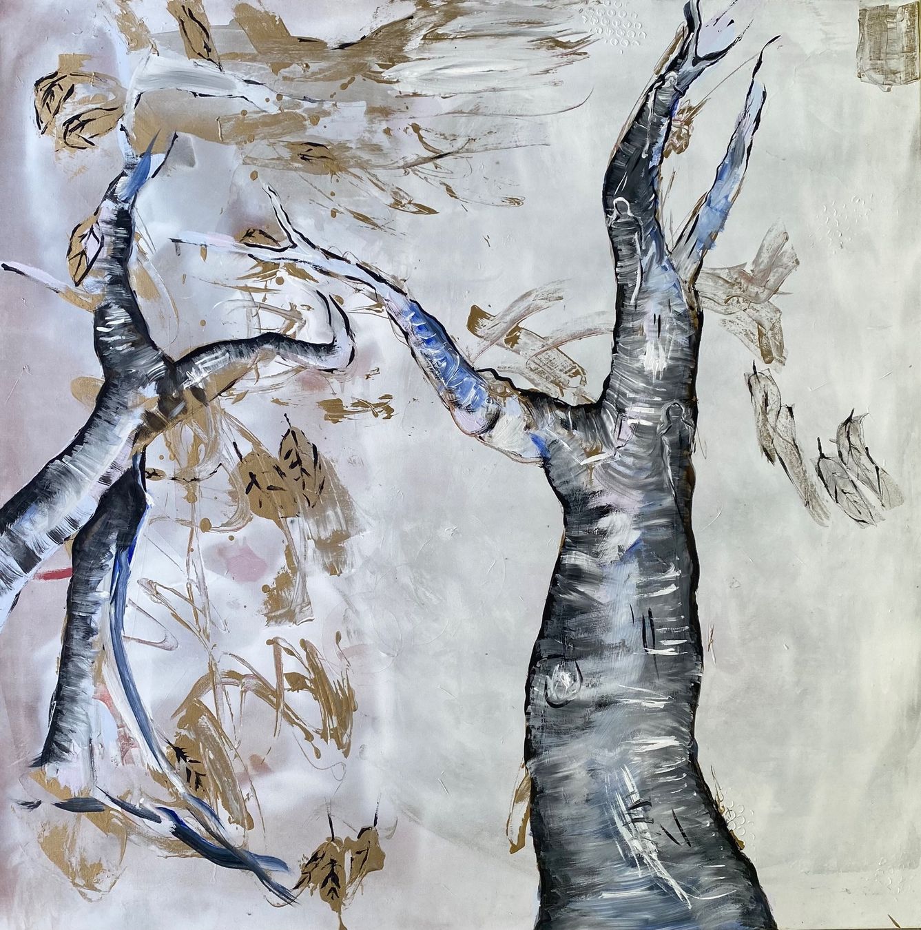 Foto & Immagini: Acrylbild – Usato da Liestal venduto da Stephanoceras1