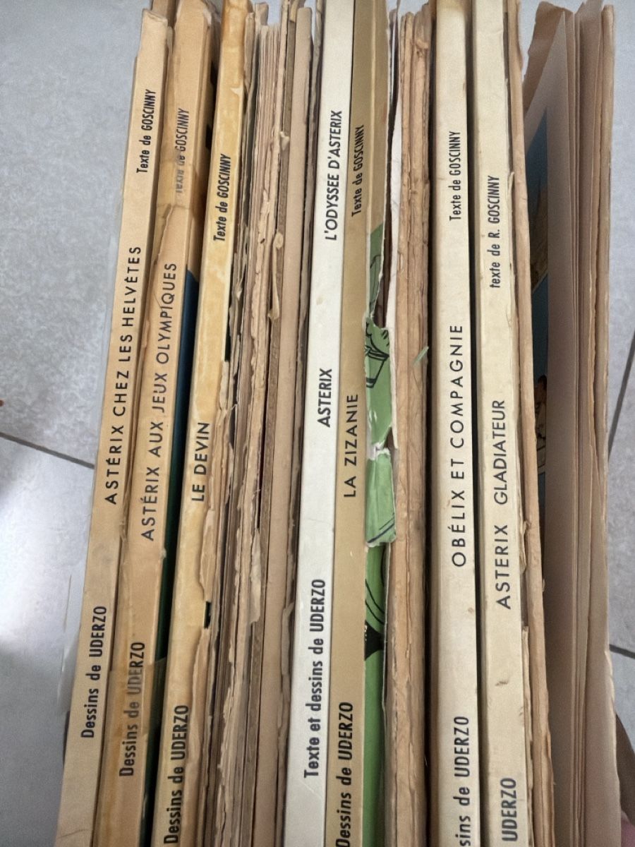 Fumetti: Asterix Comics Collection Bundle assorted volumes – Usato da Martigny venduto da Jacoosh1234