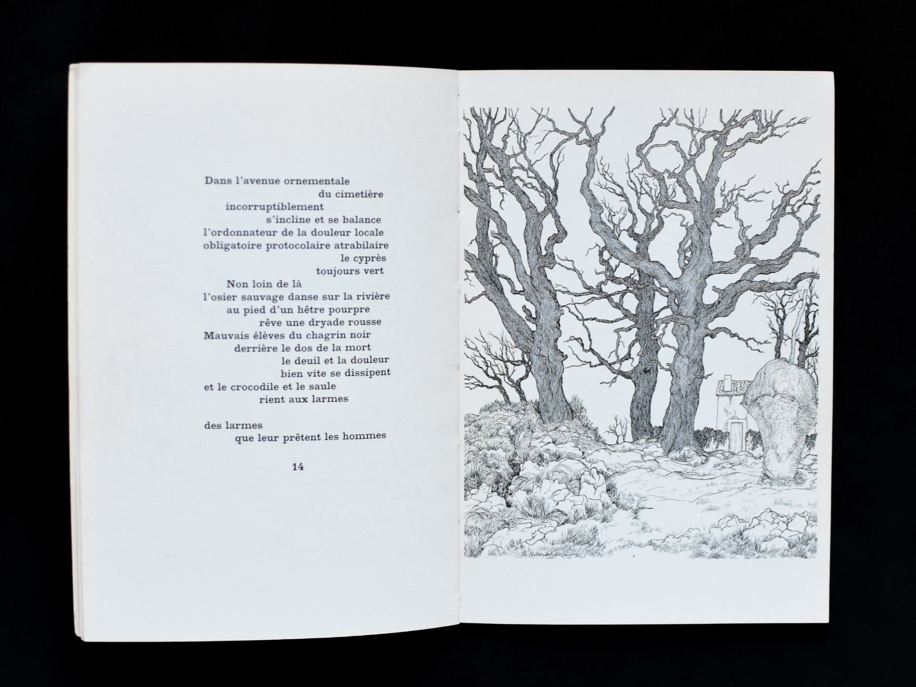 Libri: Jacques Prévert - Arbres (1976) – Usato da Belmont-sur-Yverdon venduto da bichet02 3