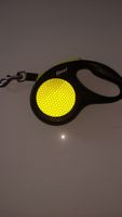 Flexi Neon Gurt S
