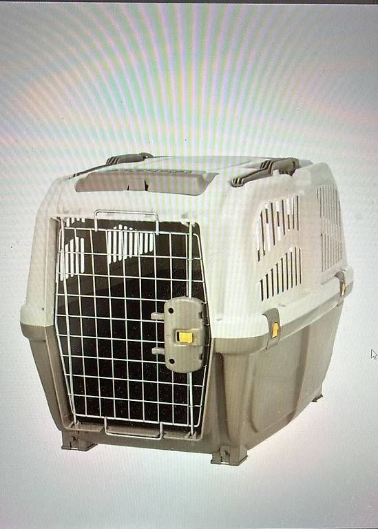 Gabbie, trasporto & Sicurezza: Hundebox Kunststoff – Nuovo e nell'imballaggio originale da Rorschach venduto da Crossfire34343