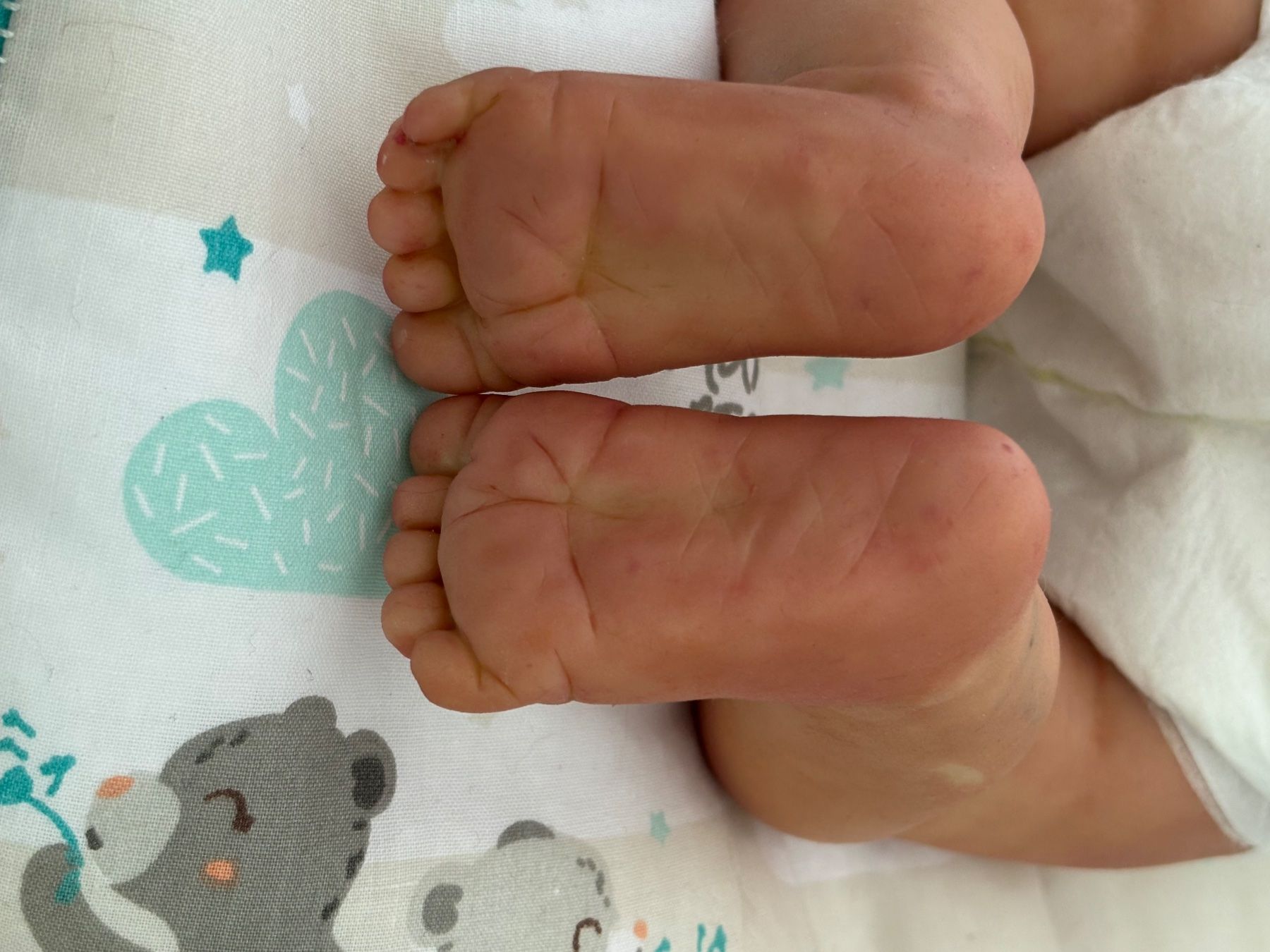 Reborn Bambole: Rebornbaby – Usato da St. Gallen venduto da SeverineWalli 8