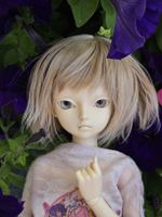 Legitime Minifee Miyu (2016), keine Recast!