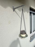 Wandhalterung für Pflanzen aus Metall