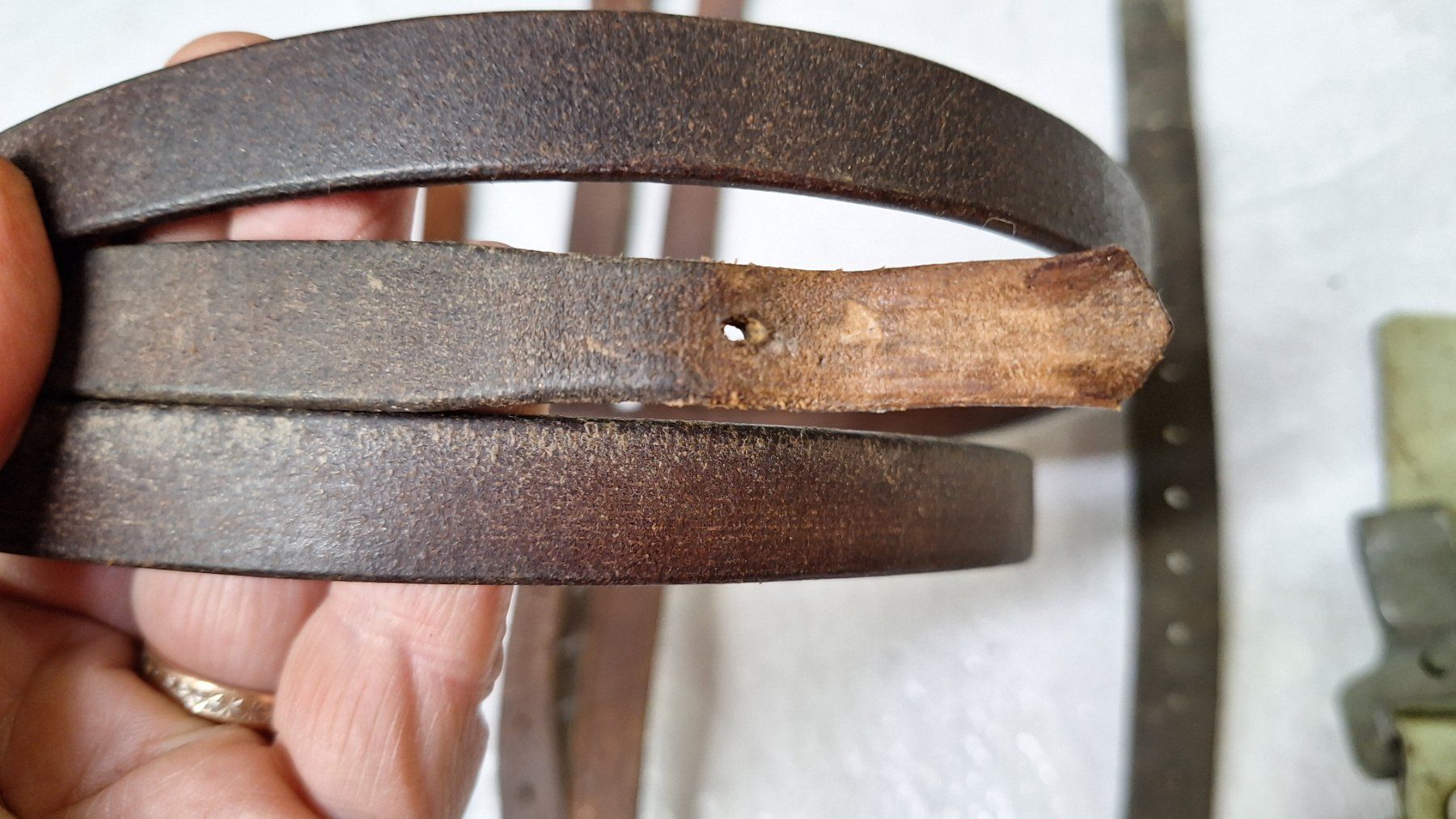 Attrezzatura da arrampicata: Diverse alte Leder -Riemen – Usato da Dornach venduto da majo8689 3